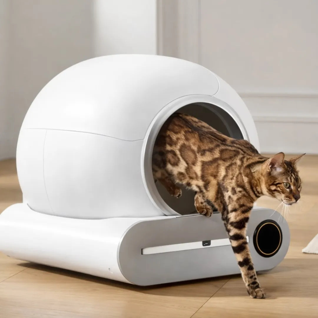 Litière auto nettoyante chat connecté - WiFi et hygiène optimale
