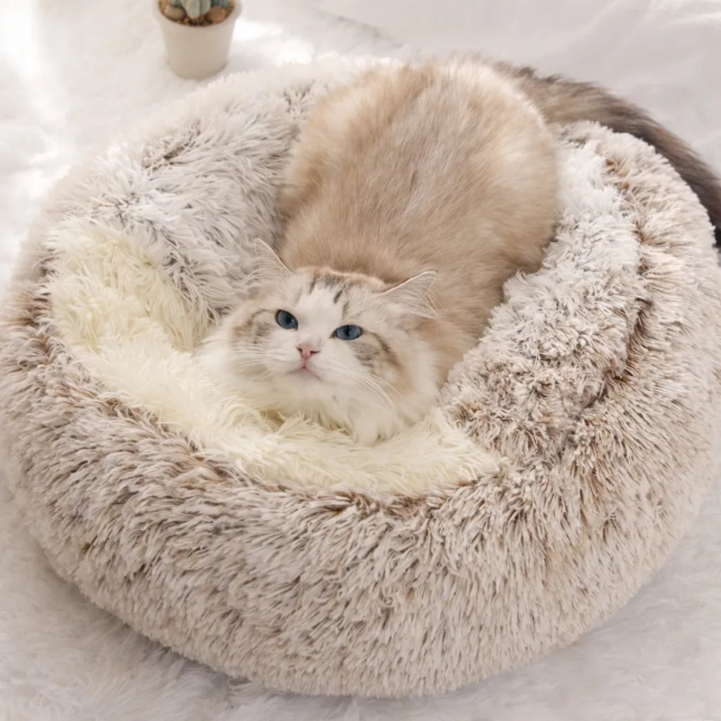 Panier chat peluche - Nid douillet 2 en 1 pour félin