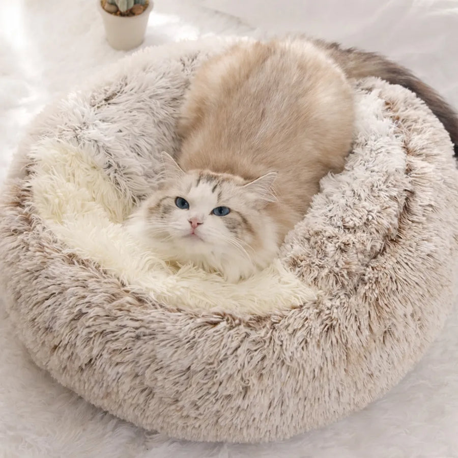 Panier chat peluche - Nid douillet 2 en 1 pour félin