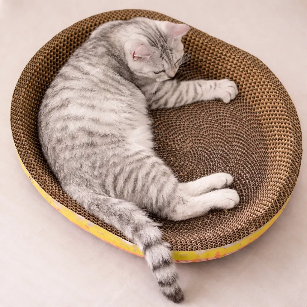 Panier griffoir chat - papier carton ondulé