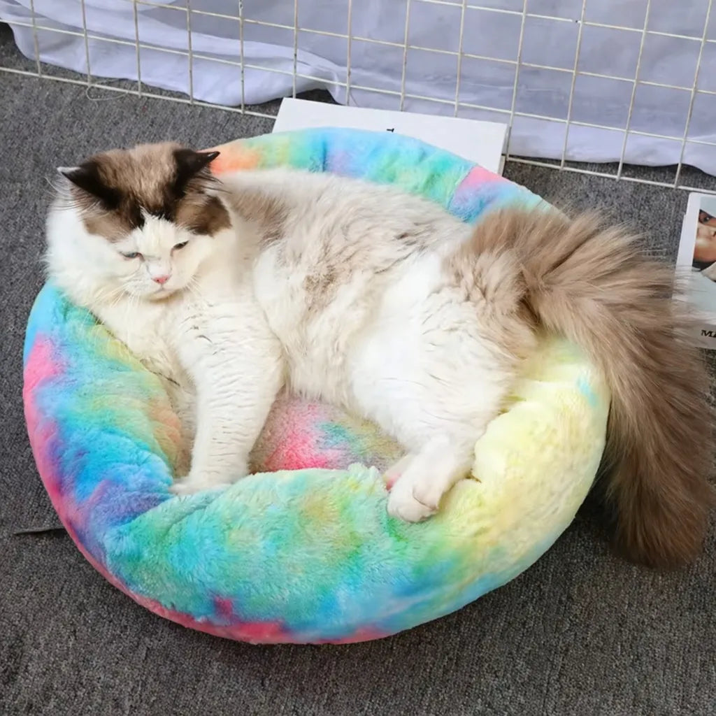 Panier pour chat XXL - Lit moelleux pour félin