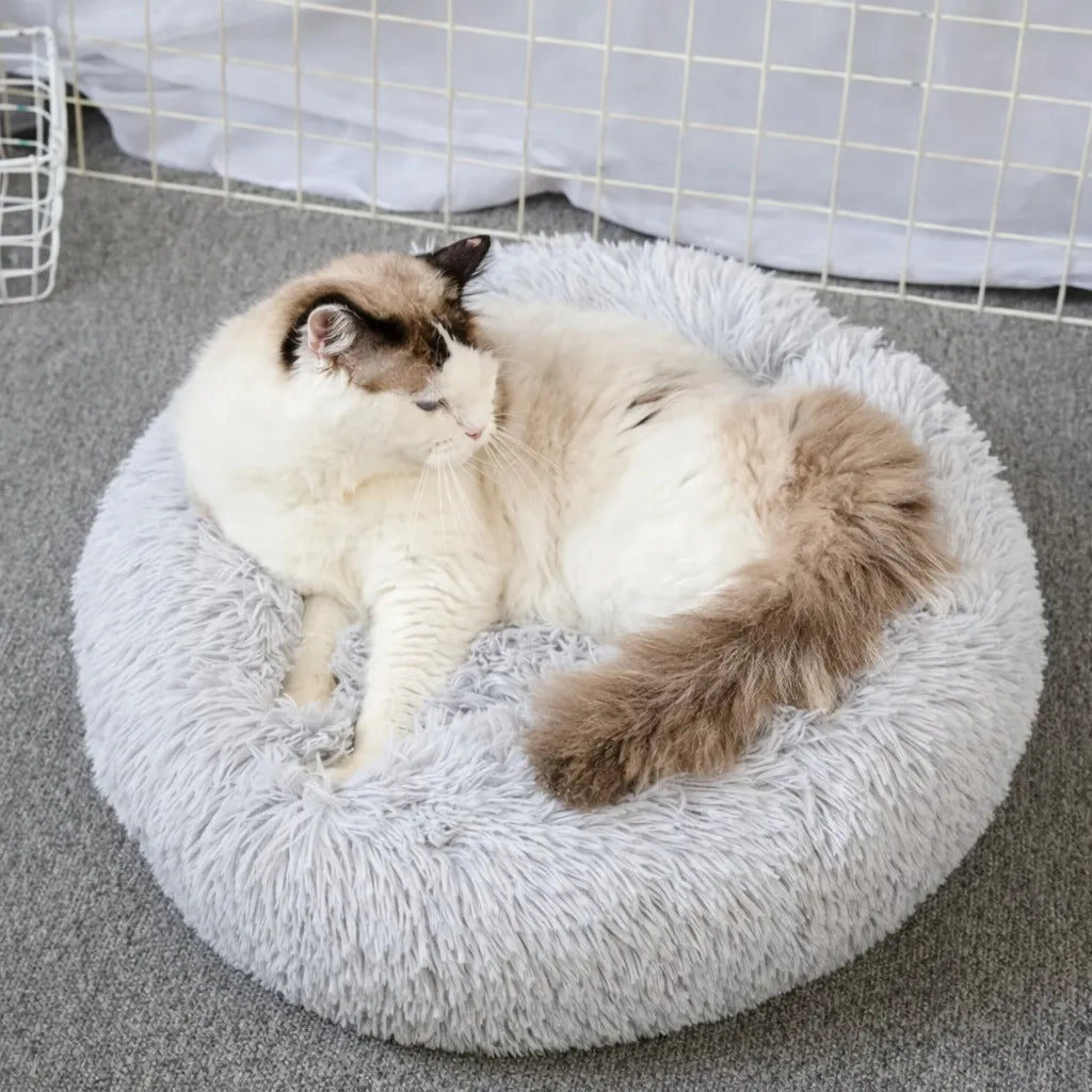 Panier pour chat XXL - Lit moelleux pour félin