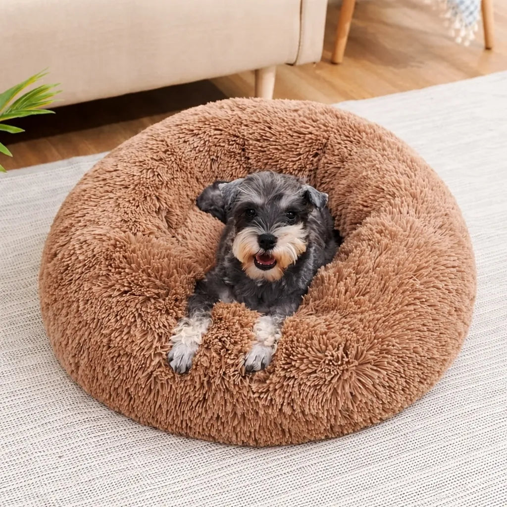 Panier pour chat XXL - Lit moelleux pour félin