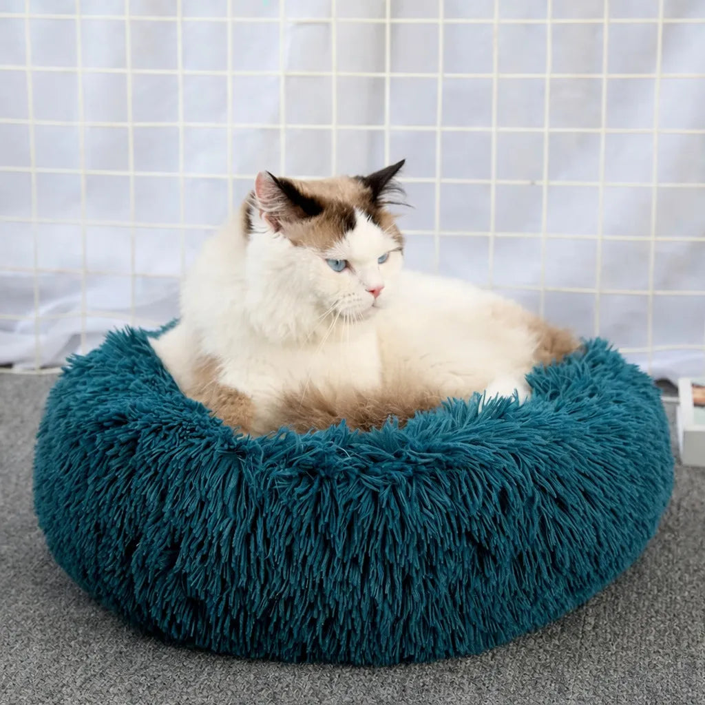 Panier pour chat XXL - Lit moelleux pour félin