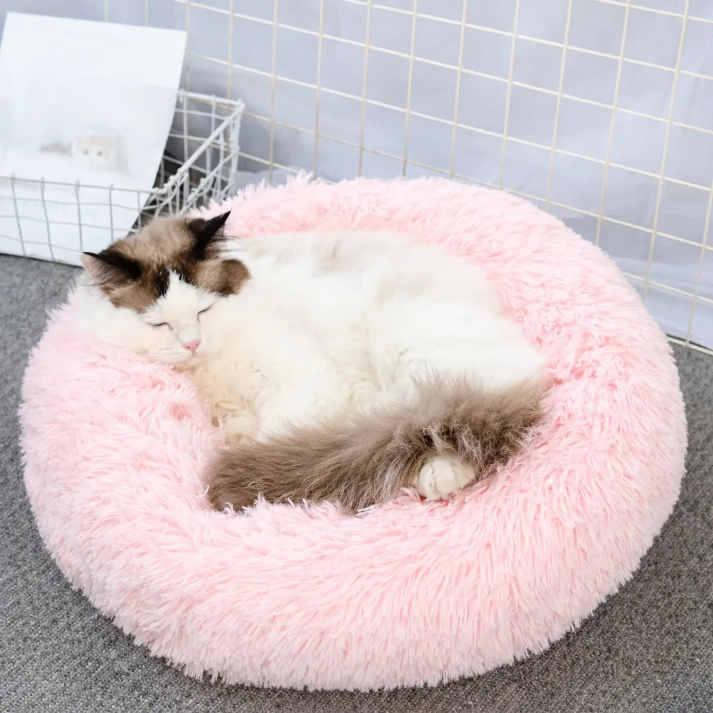 Panier pour chat XXL - Lit moelleux pour félin