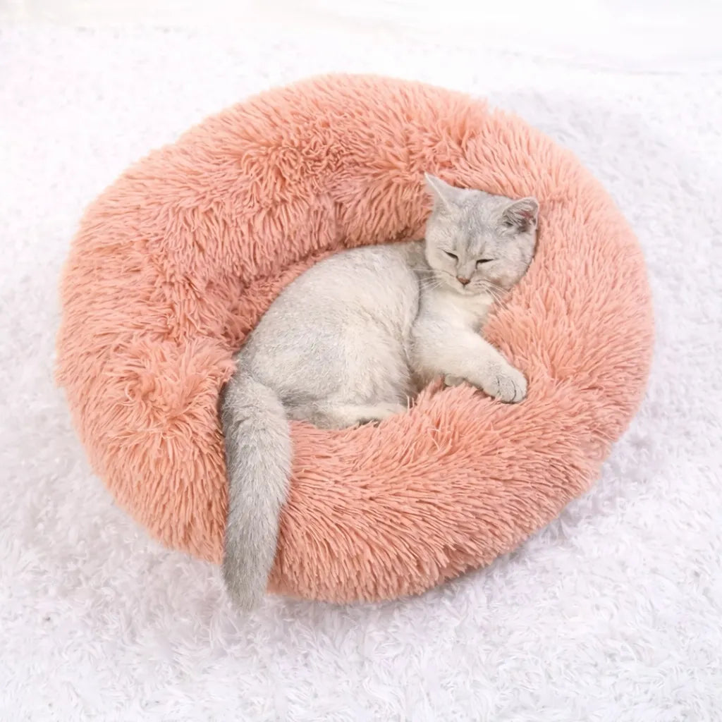 Panier pour chat XXL - Lit moelleux pour félin