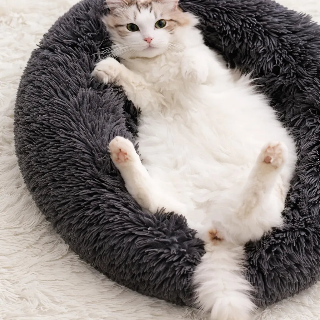 Panier pour grand chat - Nid douillet pour félins