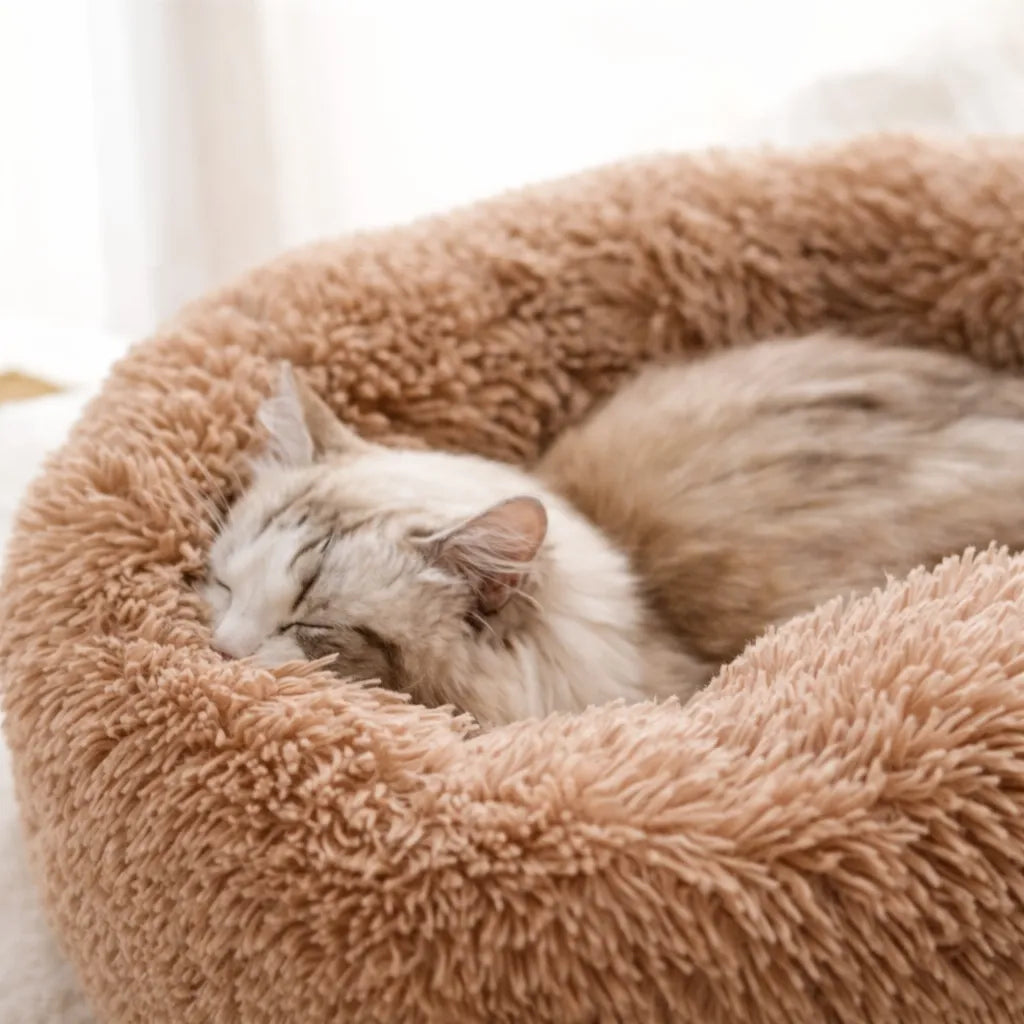 Panier pour grand chat - Nid douillet pour félins