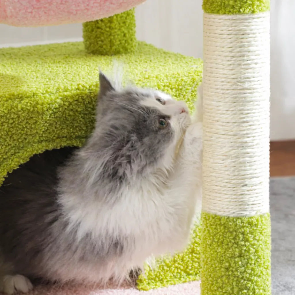 Petit arbre a chat avec hamac - Niche hamac griffoir sisal