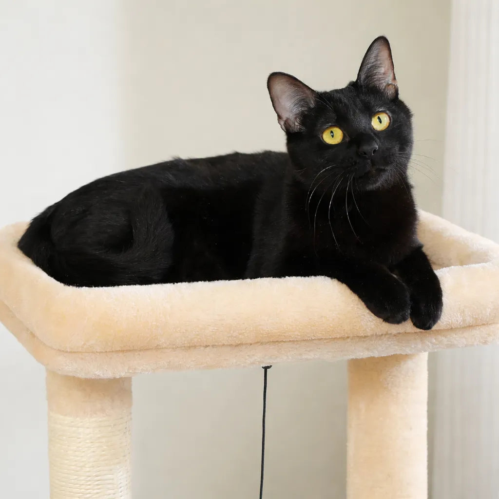 Petit arbre a chat avec hamac - Niche hamac griffoir sisal