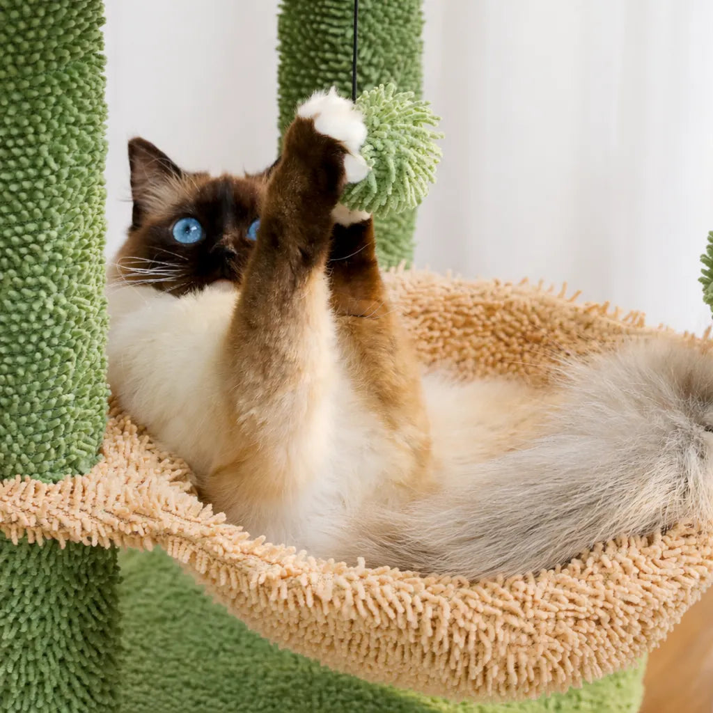 Petit arbre a chat avec hamac - Niche hamac griffoir sisal