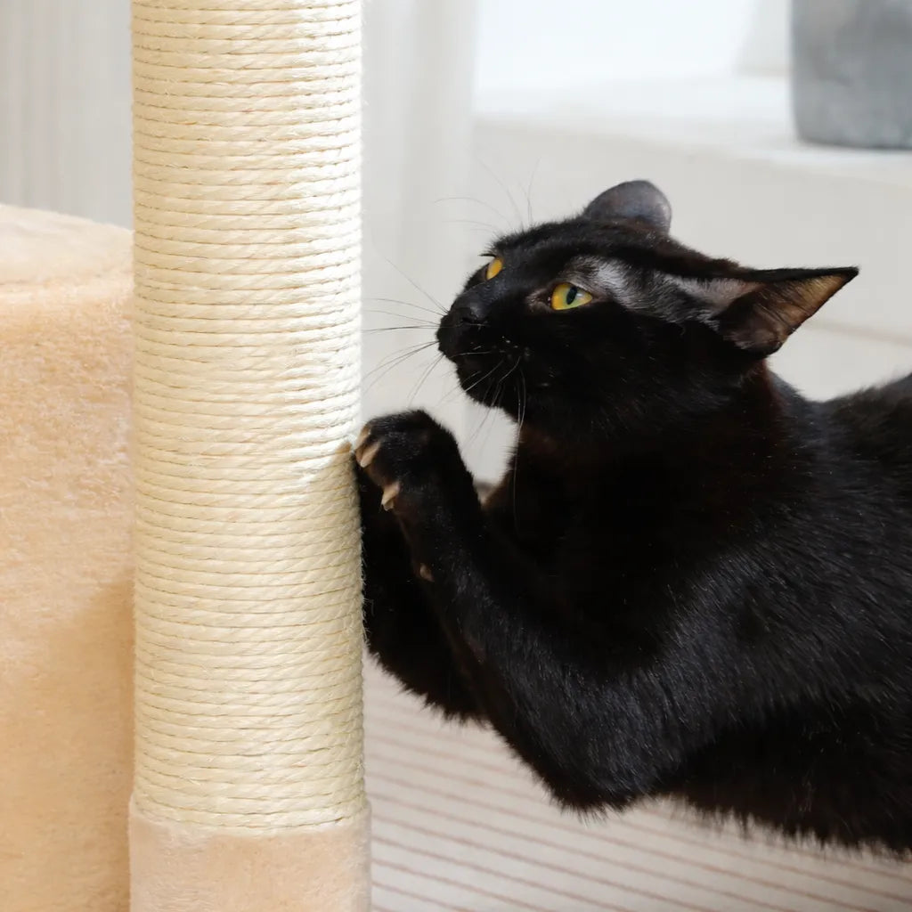 Petit arbre a chat avec hamac - Niche hamac griffoir sisal