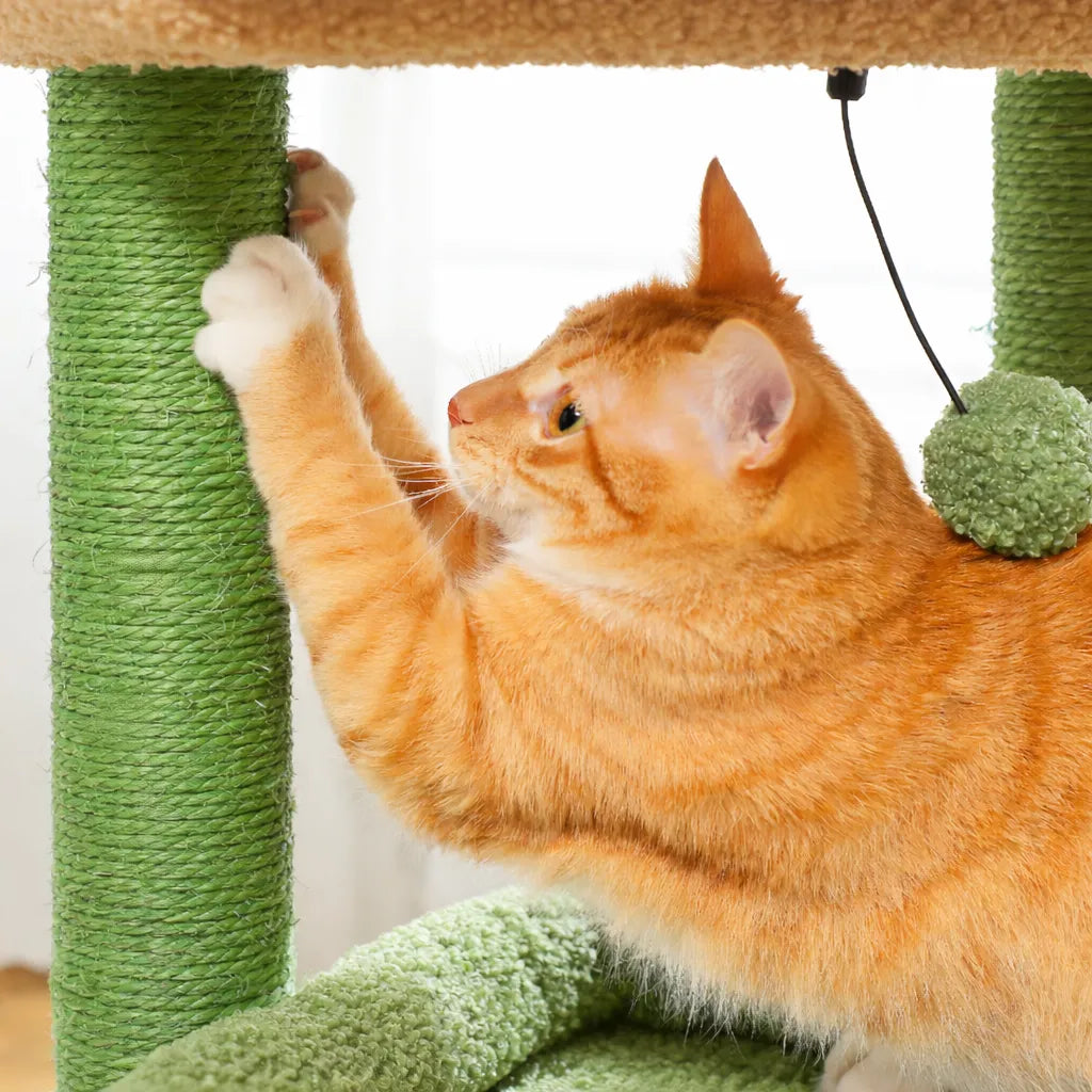 Petit arbre à chat compact | Condo et griffoir