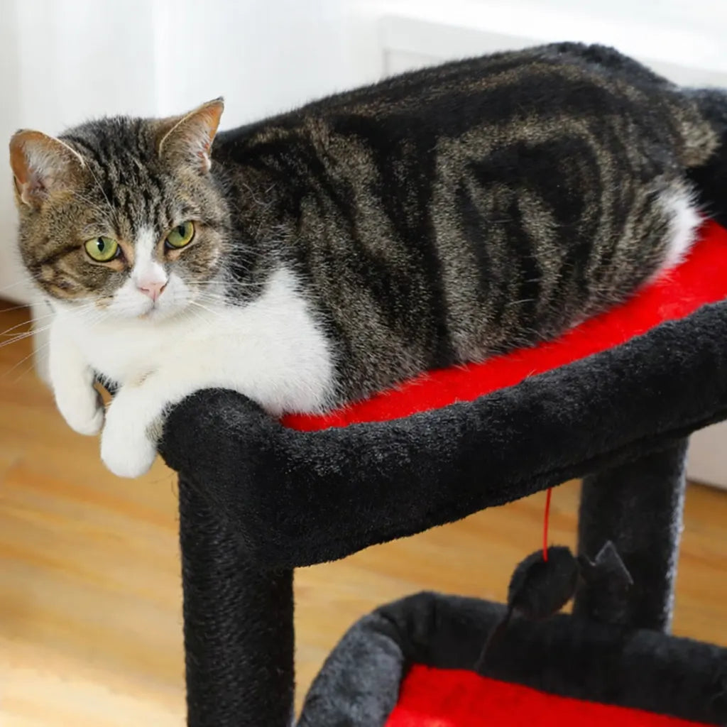 Petit arbre à chat compact | Condo et griffoir