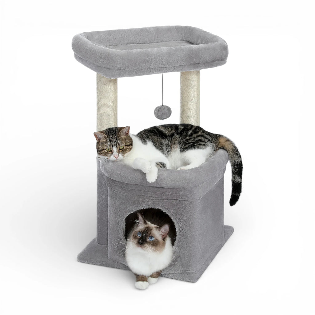 Petit arbre à chat compact | Condo et griffoir