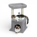 Petit arbre à chat compact | Condo et griffoir