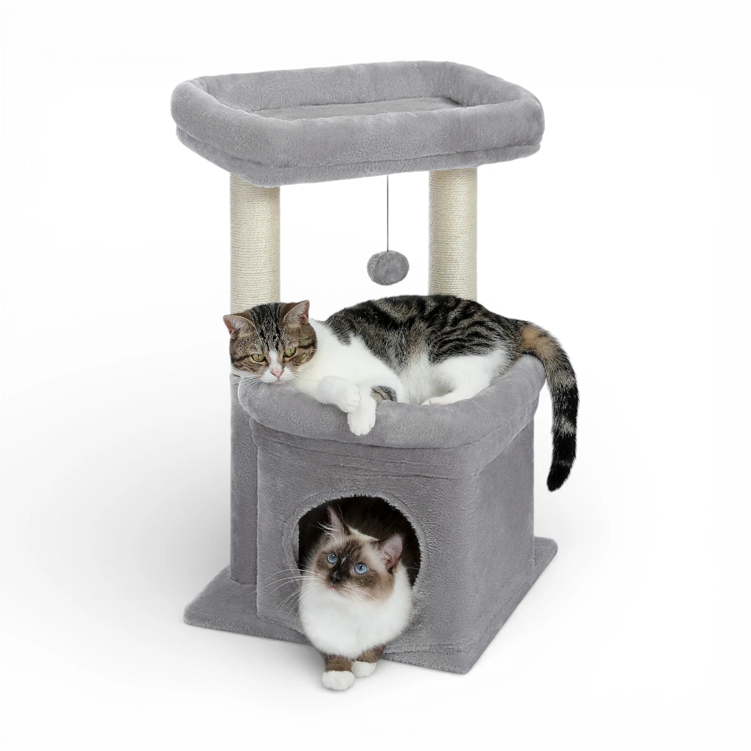 Petit arbre à chat compact | Condo et griffoir