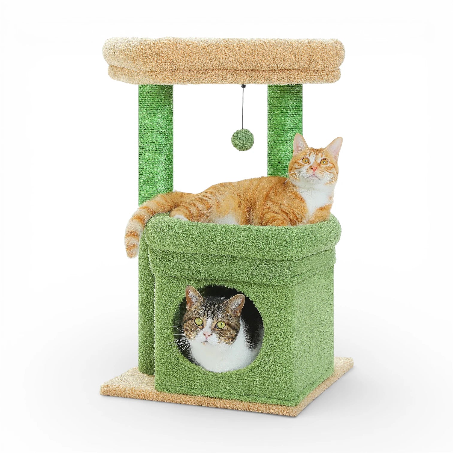 Petit arbre à chat compact | Condo et griffoir