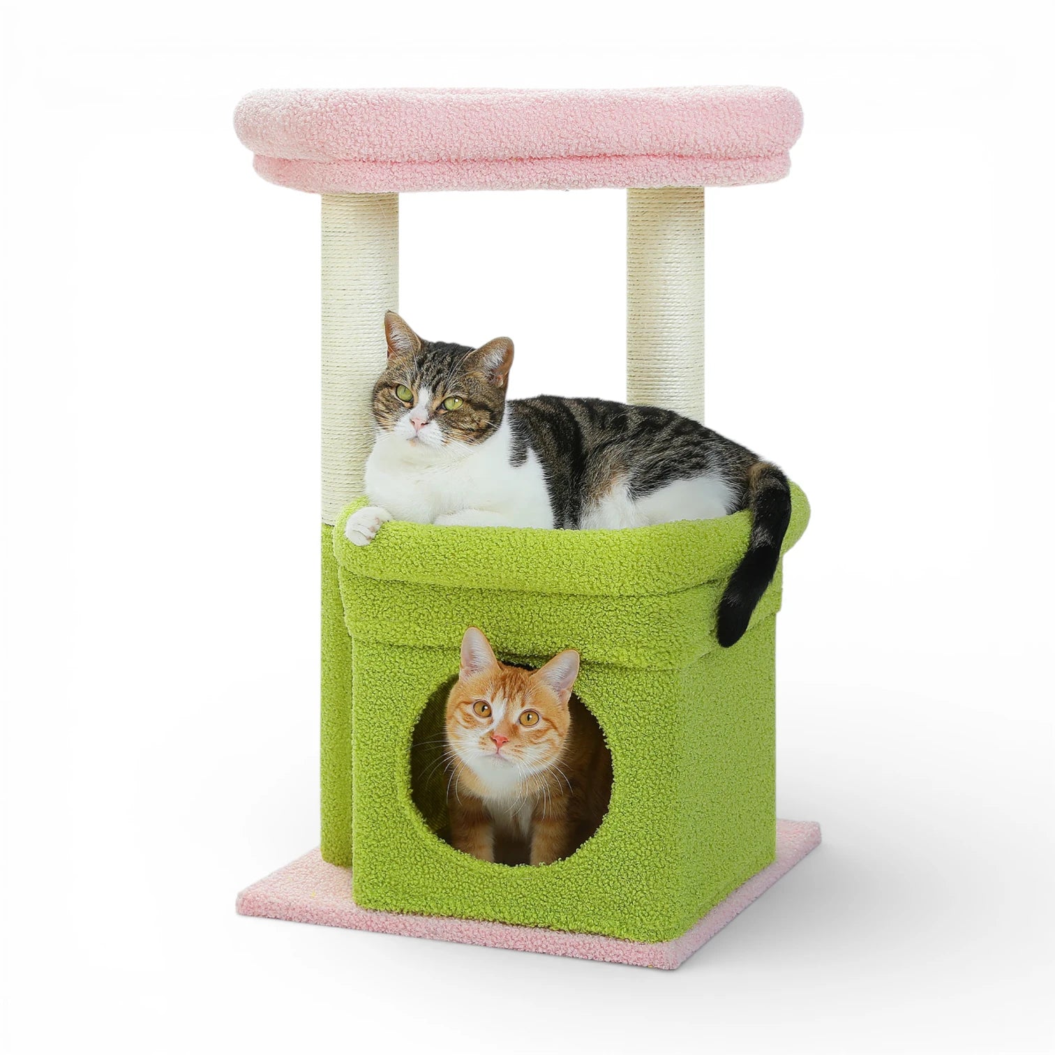 Petit arbre à chat compact | Condo et griffoir