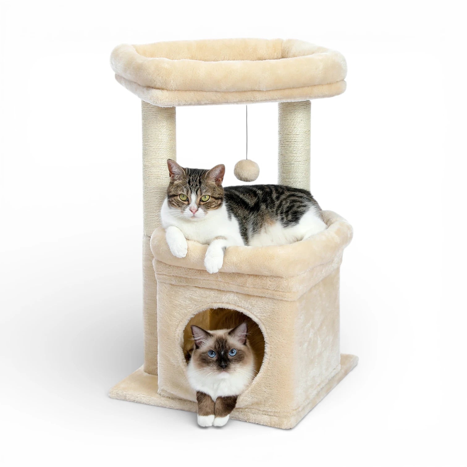 Petit arbre à chat compact | Condo et griffoir