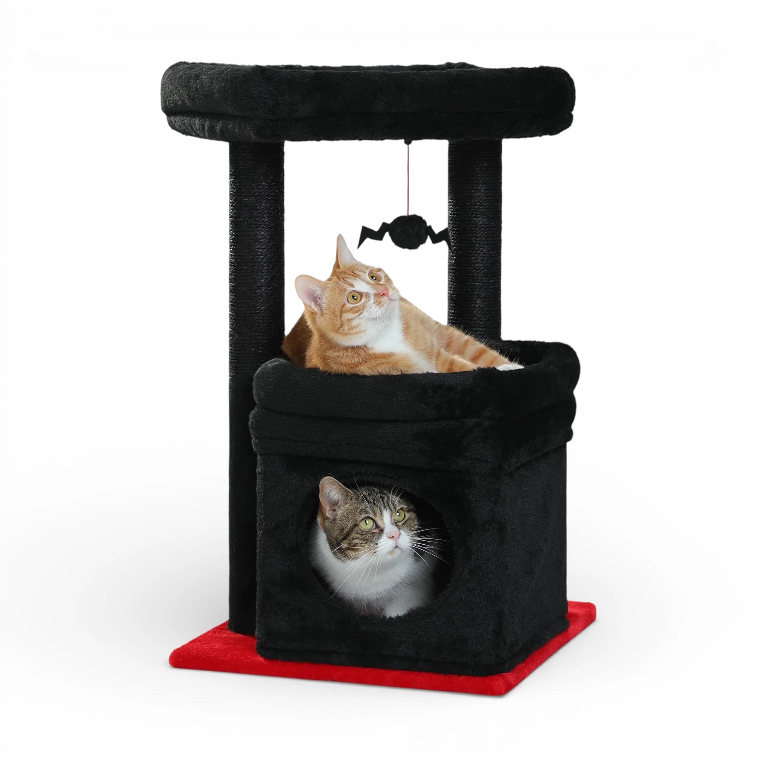 Petit arbre à chat compact | Condo et griffoir
