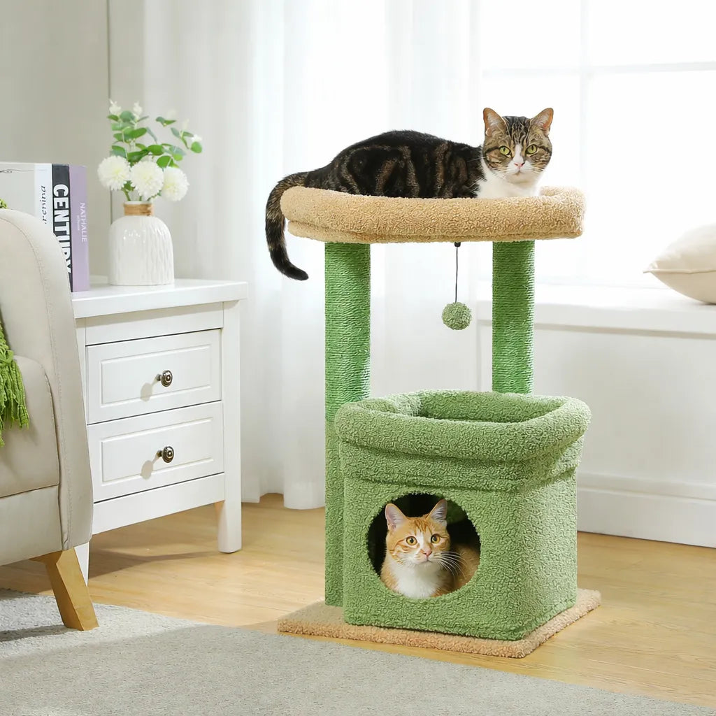 Petit arbre à chat compact | Condo et griffoir
