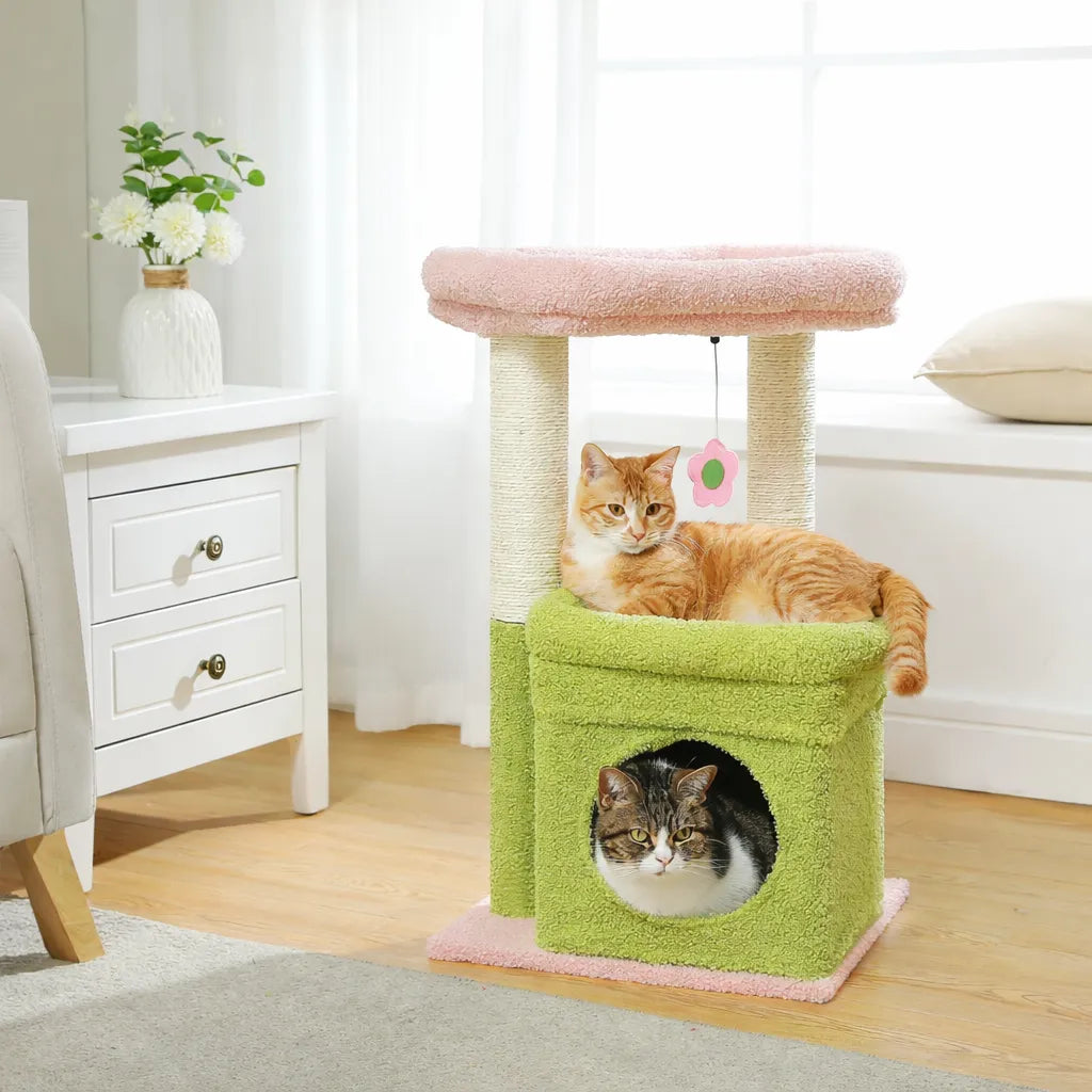 Petit arbre à chat compact | Condo et griffoir