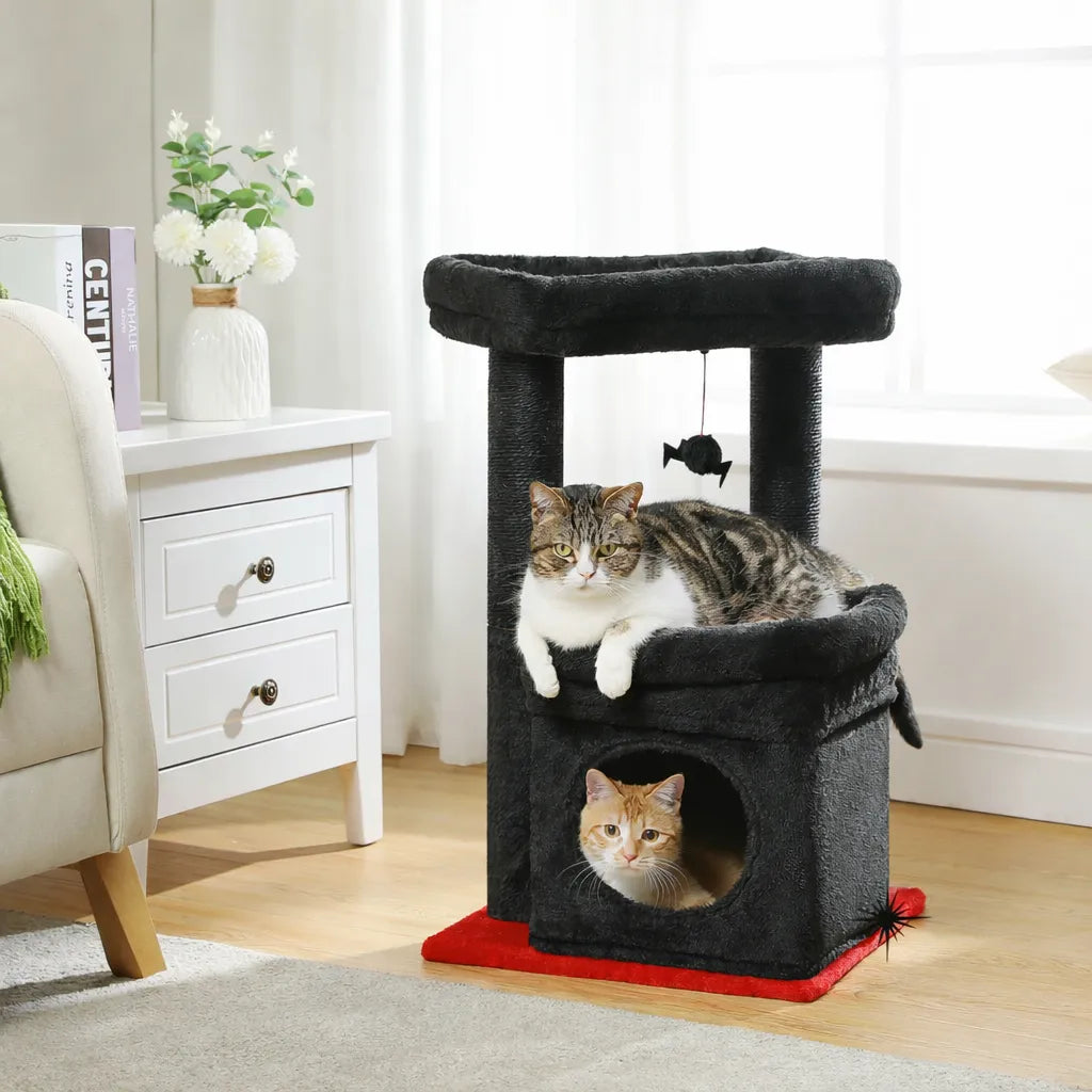 Petit arbre à chat compact | Condo et griffoir