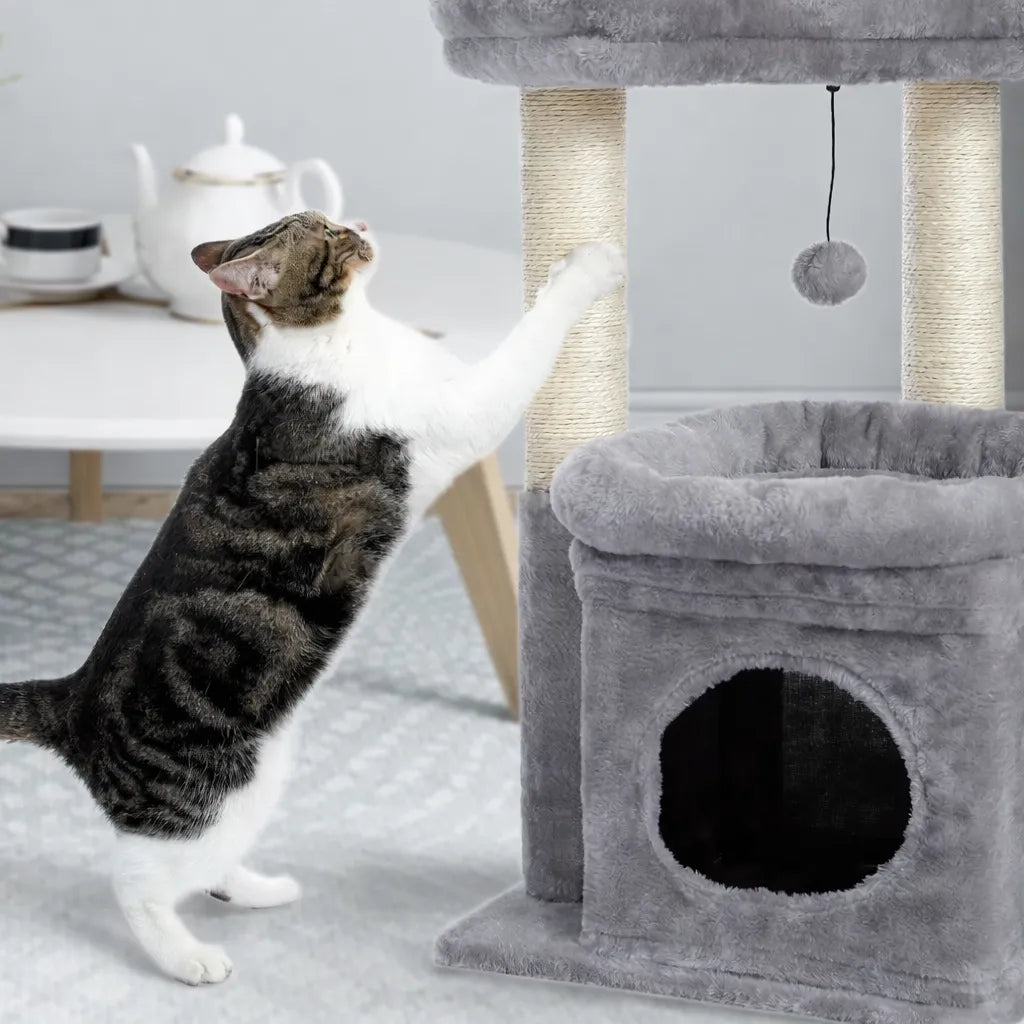 Petit arbre à chat compact | Condo et griffoir
