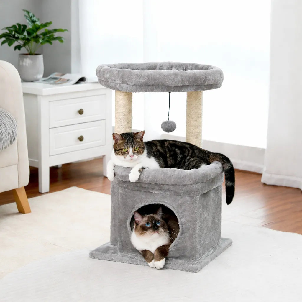 Petit arbre à chat compact | Condo et griffoir