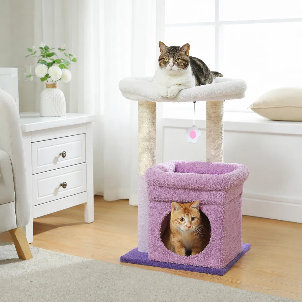 Petit arbre à chat compact | Condo et griffoir