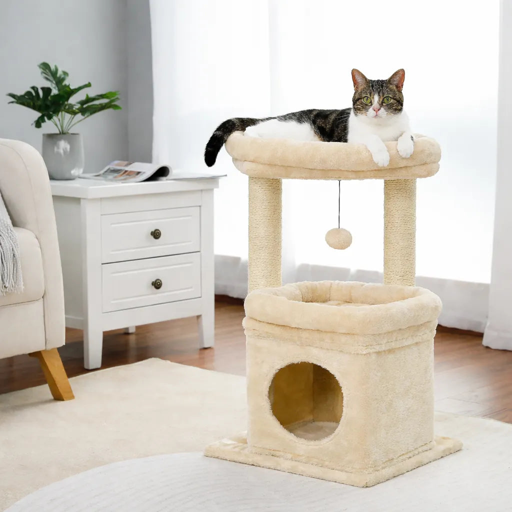 Petit arbre à chat compact | Condo et griffoir