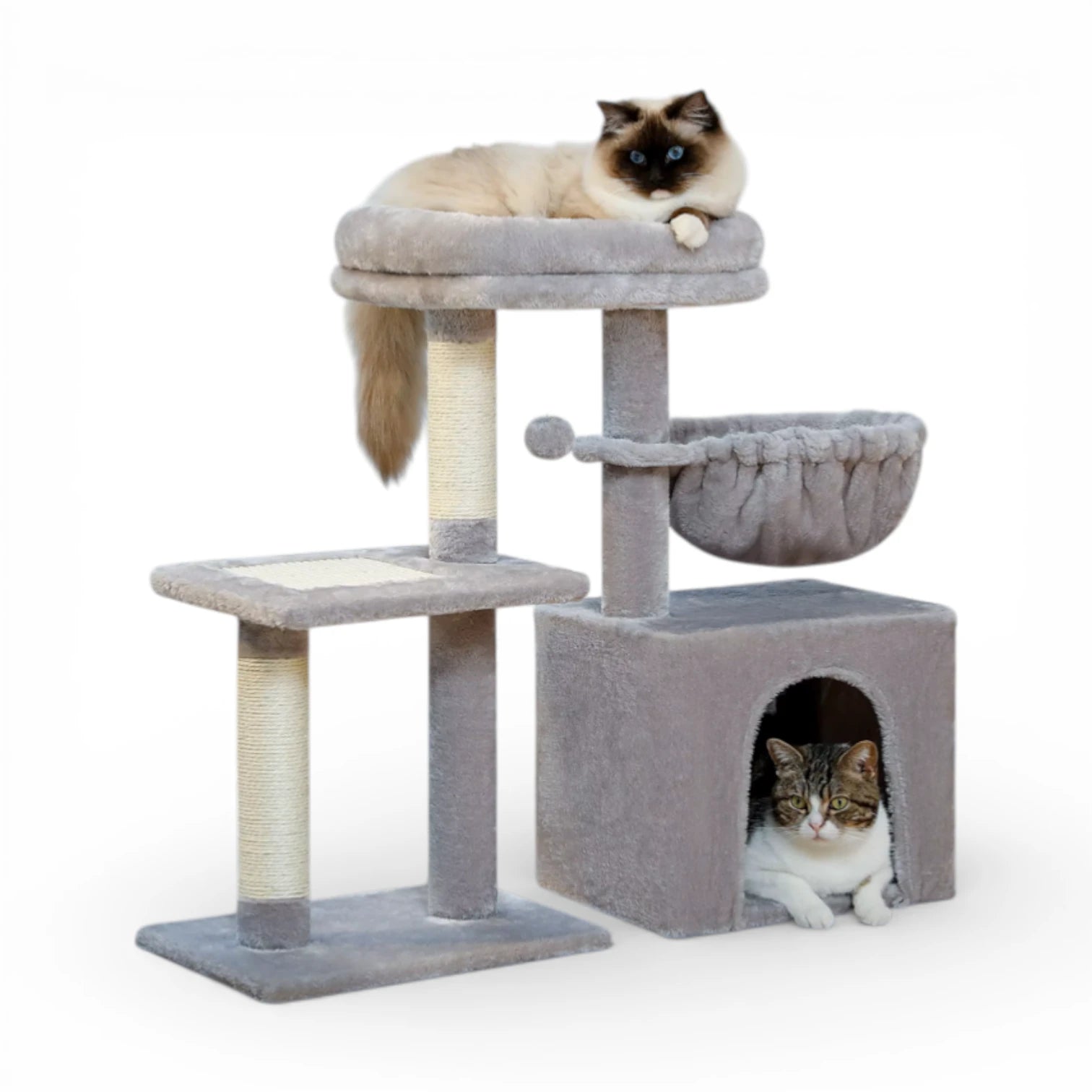 Petit arbre a chat design - Tour d'activité modulable et élégante