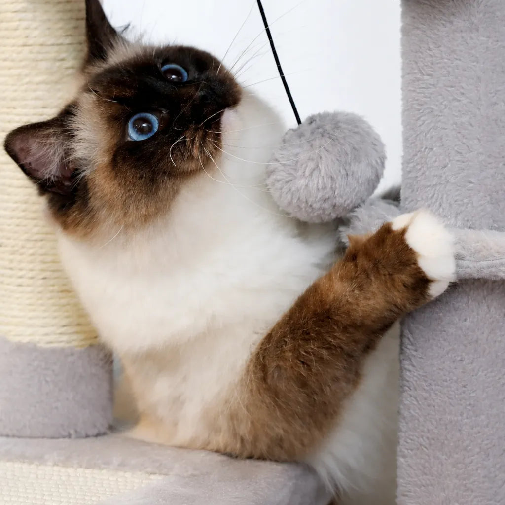 Petit arbre a chat design - Tour d'activité modulable et élégante