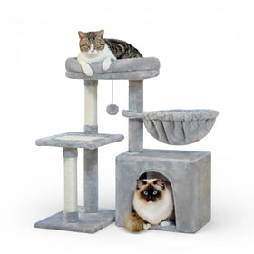 Gris
