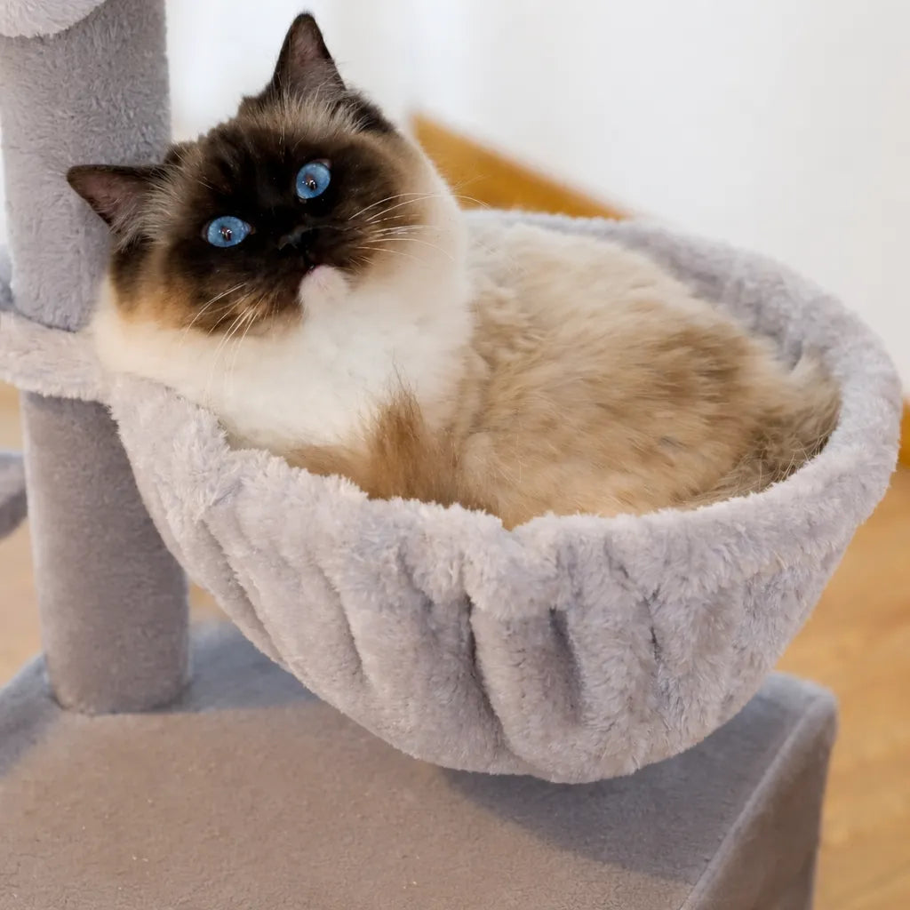 Petit arbre a chat design - Tour d'activité modulable et élégante