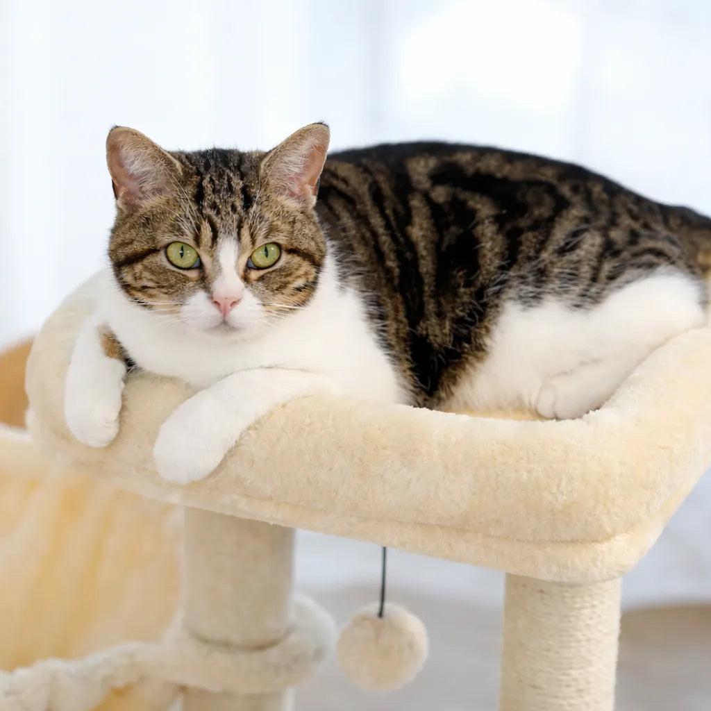 Petit arbre a chat design - Tour d'activité modulable et élégante