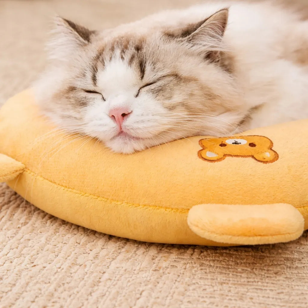 Petit coussin pour chat - Oreiller cervical pour félin