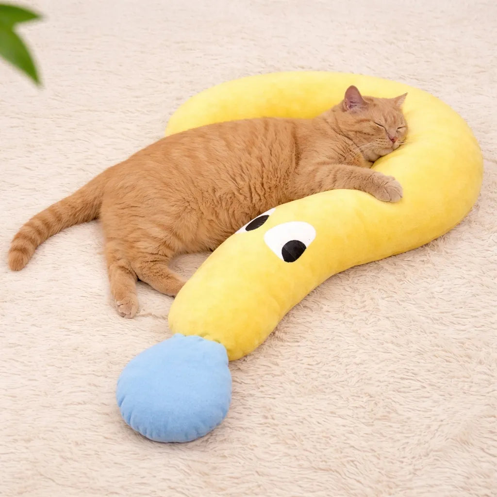 Petit coussin pour chat - Oreiller cervical pour félin