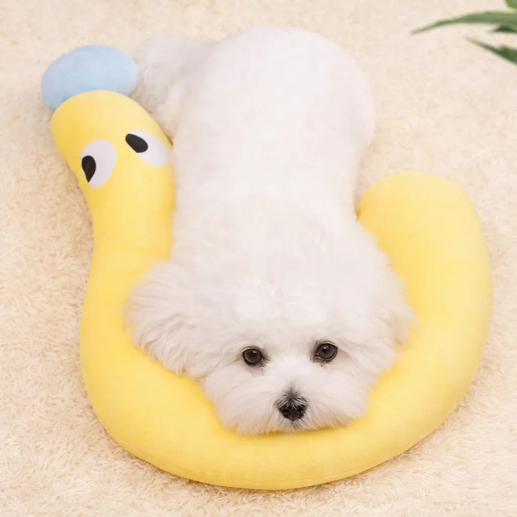Petit coussin pour chat - Oreiller cervical pour félin