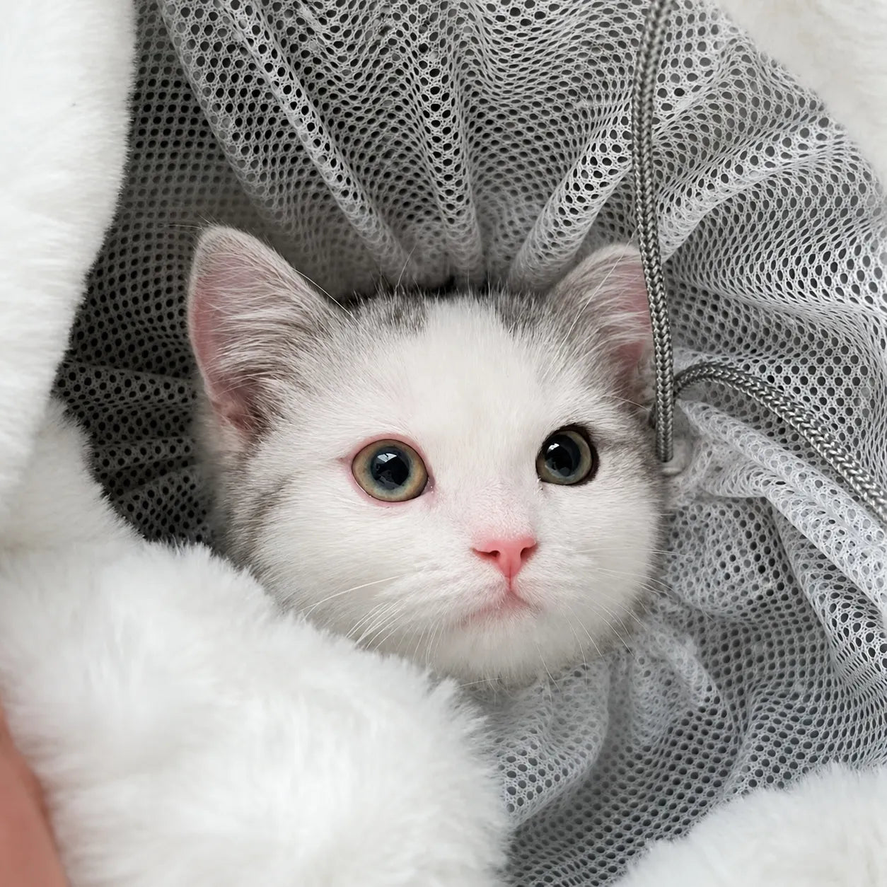 Sac a dos chat en velours douillet - Coupe-vent 3 tailles