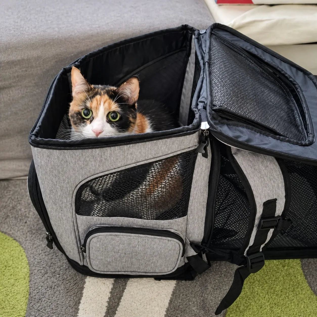 Sac à dos pour chat respirant et extensible - Grande capacité
