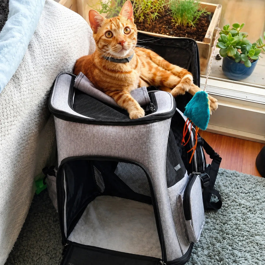 Sac à dos pour chat respirant et extensible - Grande capacité