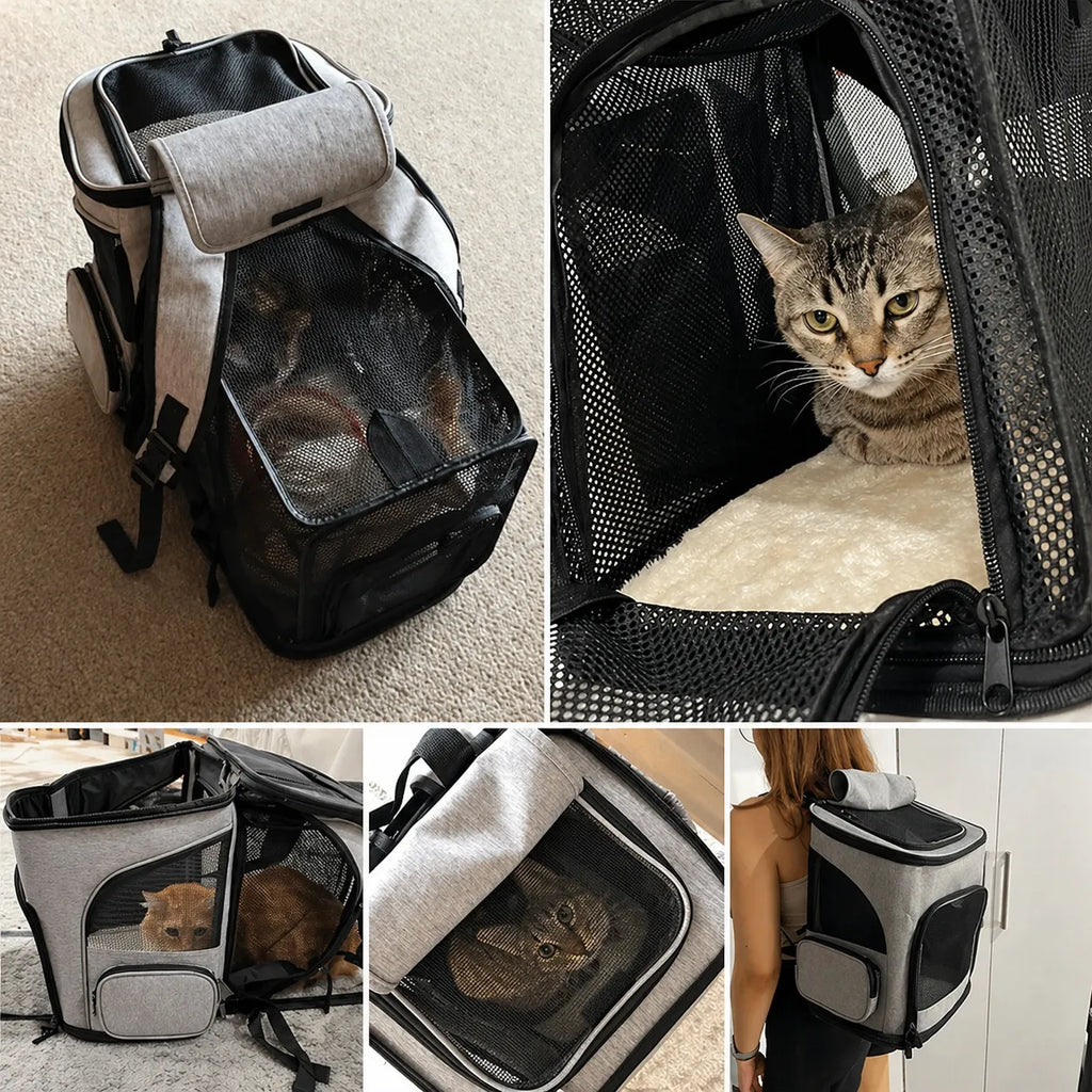Sac à dos pour chat respirant et extensible - Grande capacité