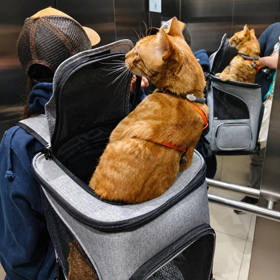 Sac à dos pour chat respirant et extensible - Grande capacité