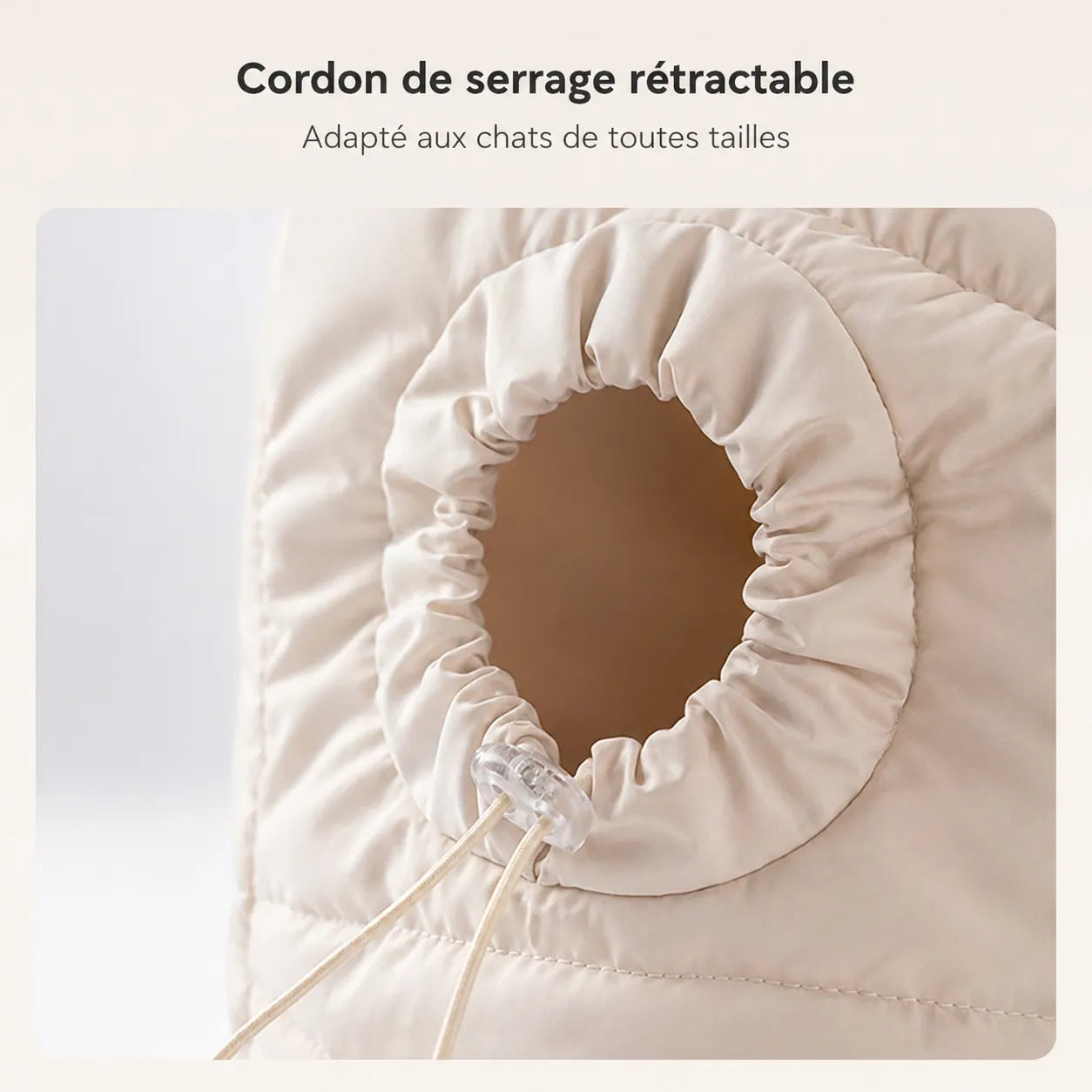 Sac à main chat chaud - Bandoulière avec exposition tête