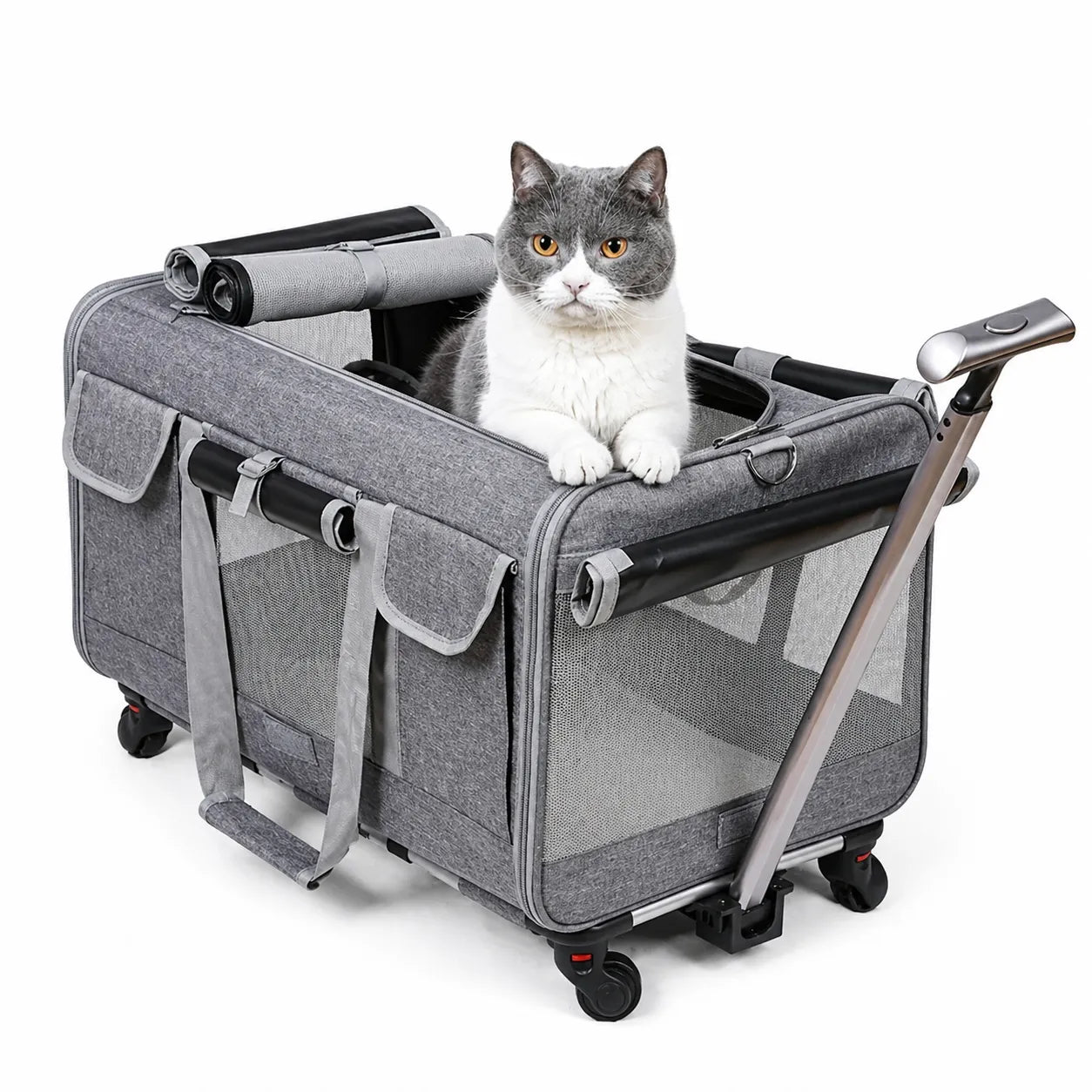 Sac de transport à roulettes pour chat - Extra Large pliable