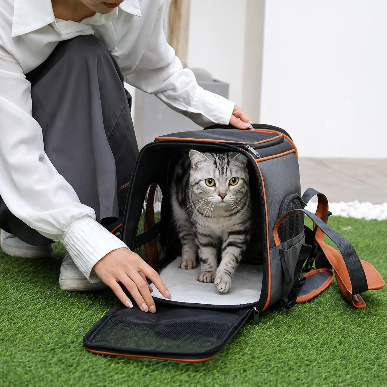 Sac de transport chat anti-affaissement - Oxford premium