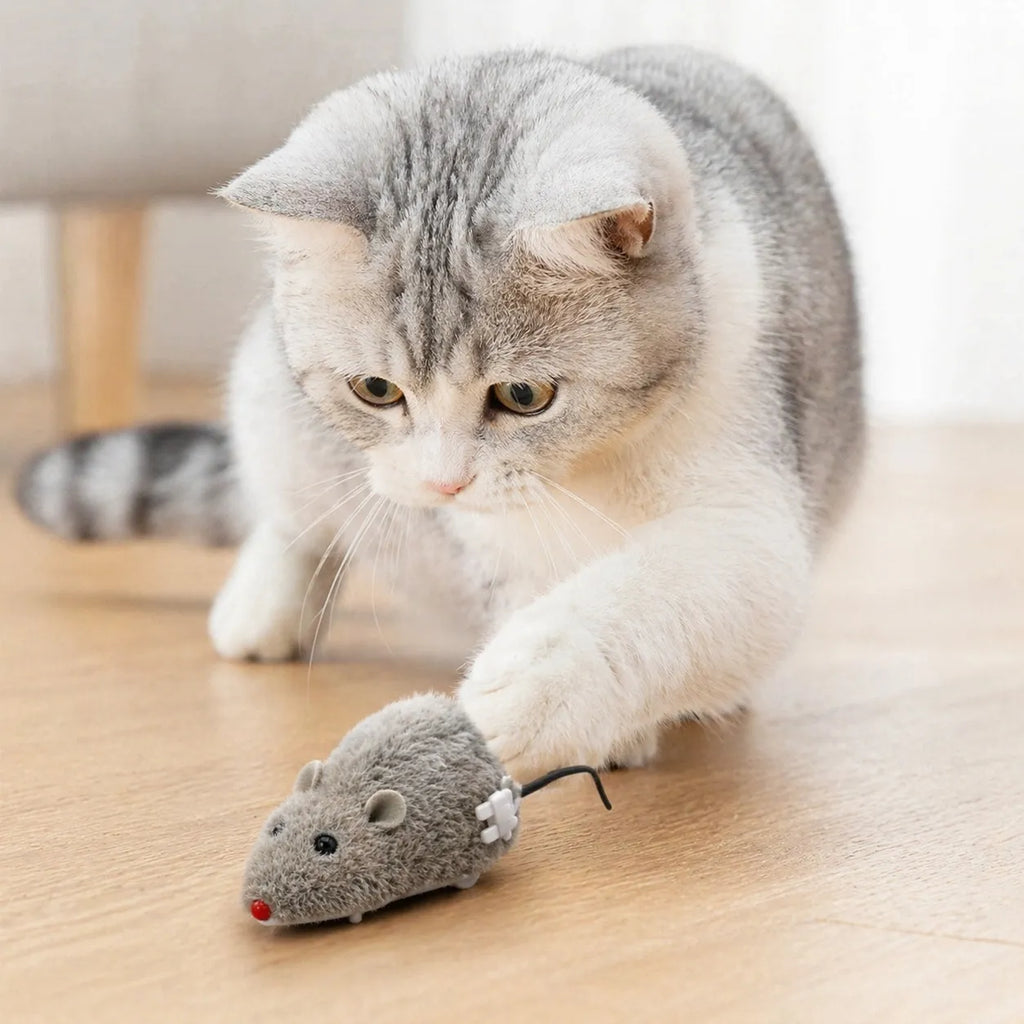 Souris pour chat mécanique à remonter - Jouet peluche durable