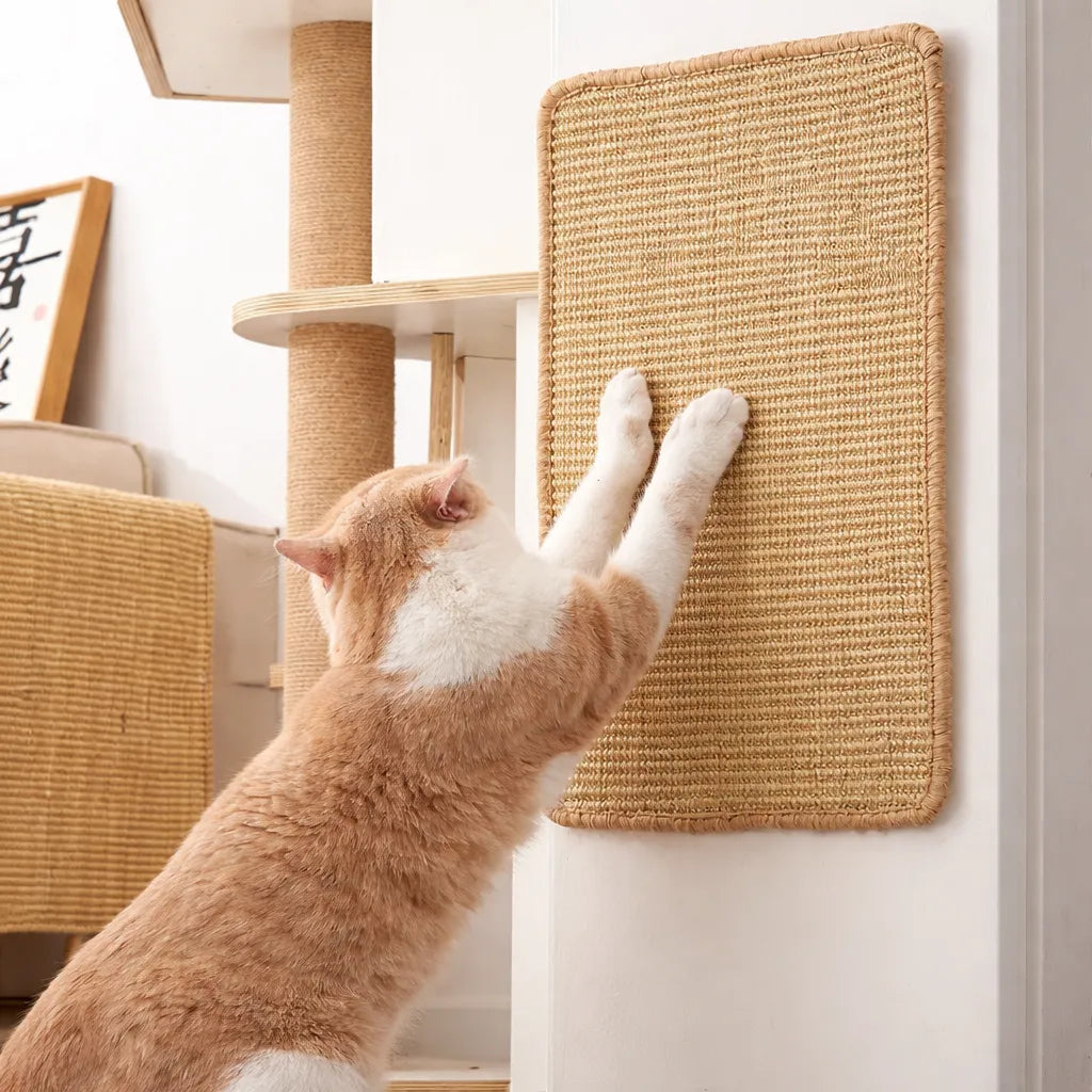 Tapis griffoir pour chat - Tapis mural protection